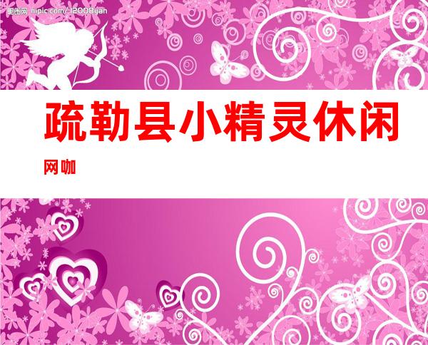 疏勒县小精灵休闲网咖