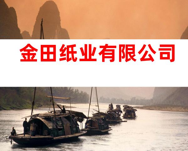 金田纸业有限公司