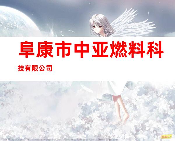 阜康市中亚燃料科技有限公司